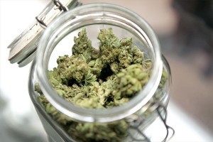 medical-marijuana-jar